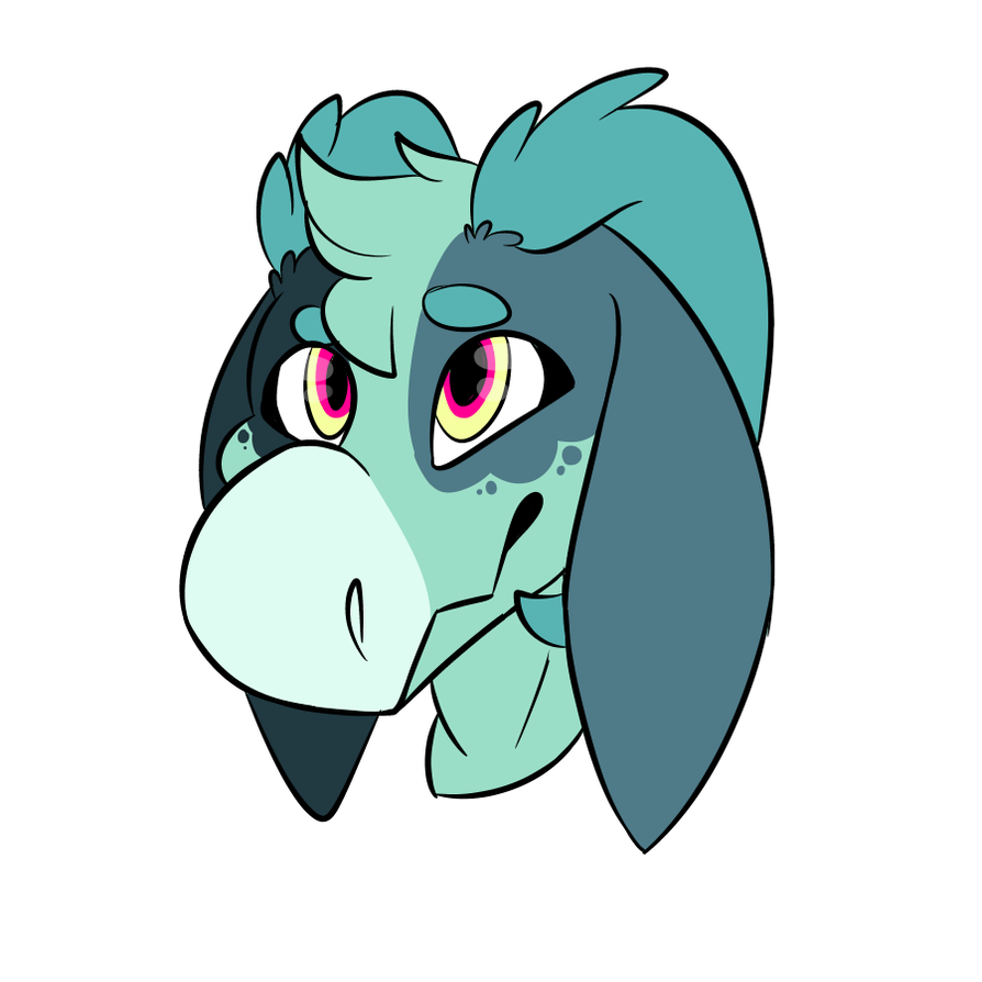 894x894 Novo Upgrade