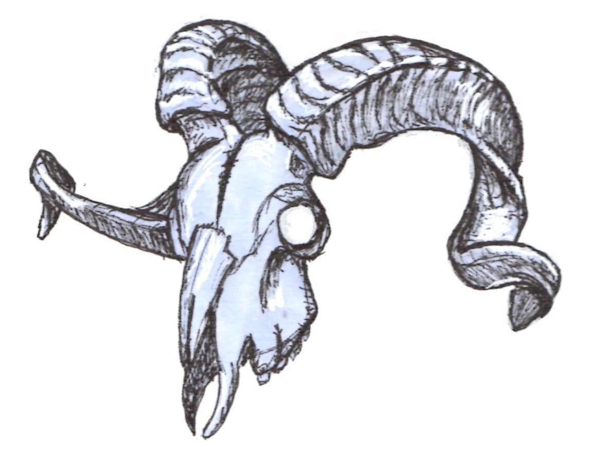 1168x897 Sketchie Fella Ram Skull