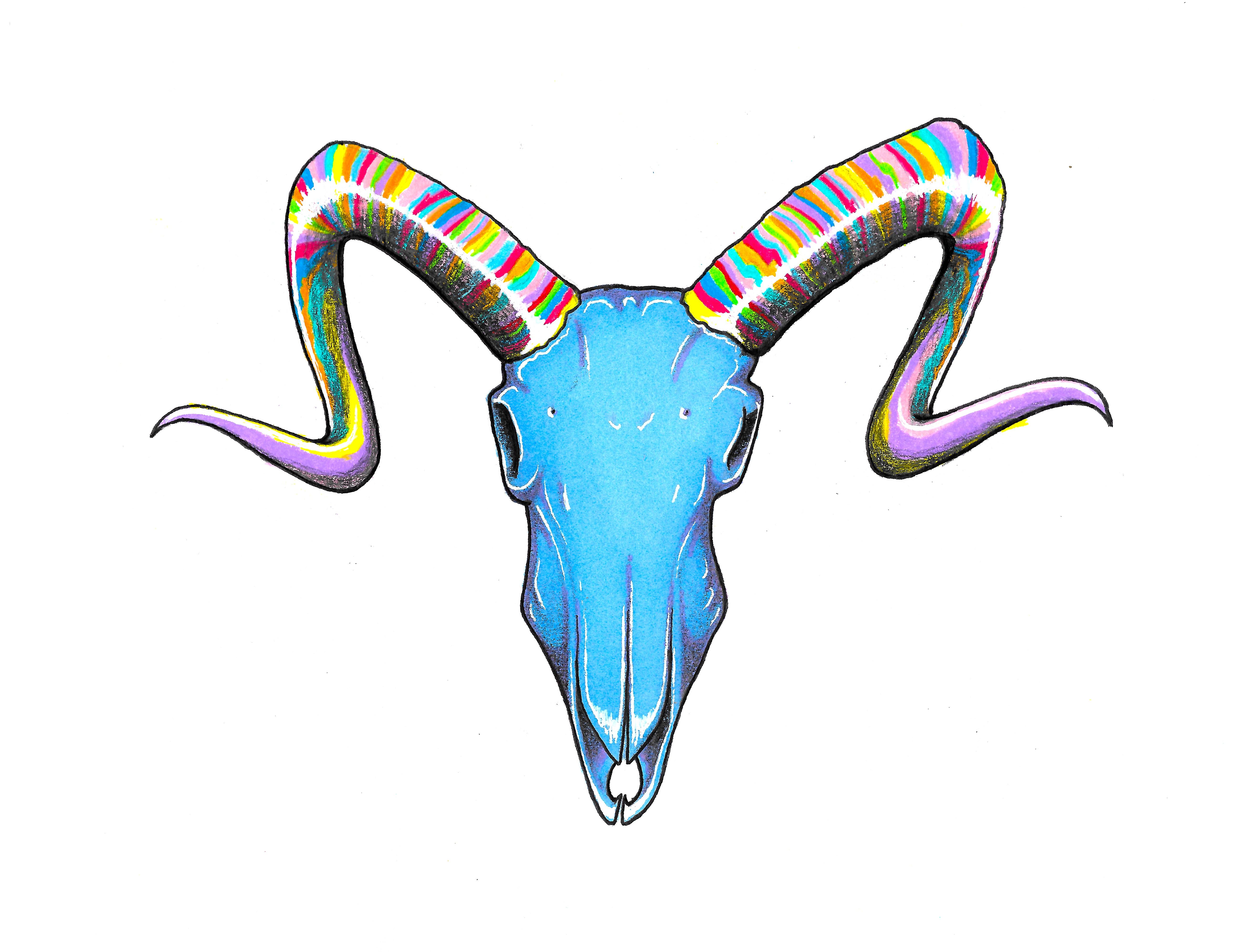 5280x3991 Tiny Little Ram Skull Drawing I Made A Few Years Back Wow Look