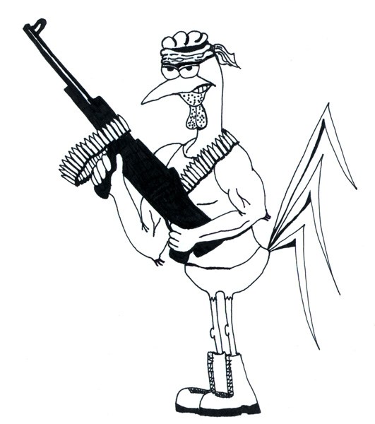 531x600 chicken ordinance for the birds! dadzoo