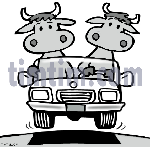 572x561 Free Drawing Of Cattle Drive Us Bw From The Category Farm Animals