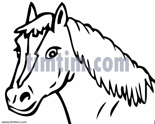 541x433 Free Drawing Of Horse From The Category Farm Animals Ranch