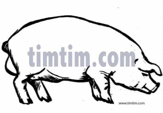 545x378 Free Drawing Of Pig Bw From The Category Farm Animals Ranch