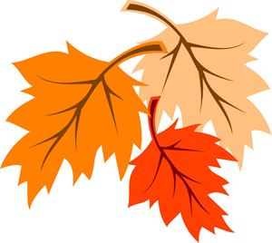 300x268 Ahs Cat Ranch Raffle Fundraiser Drawing