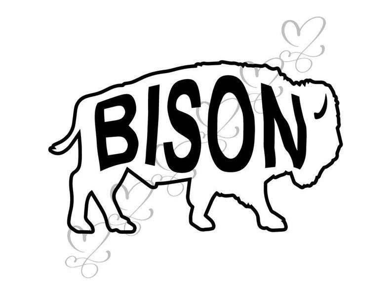 794x597 Bison Buffalo Nature Mammal Wild Animal Wildlife Bull Power Etsy