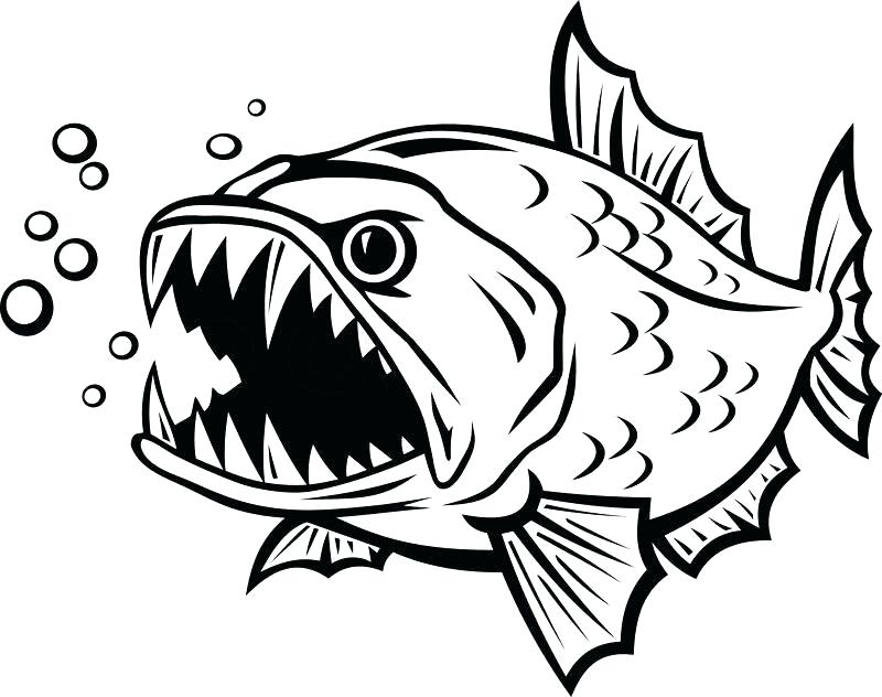 800x632 Cartoon Fish Outline Fish Cartoon Fish Outline Drawing