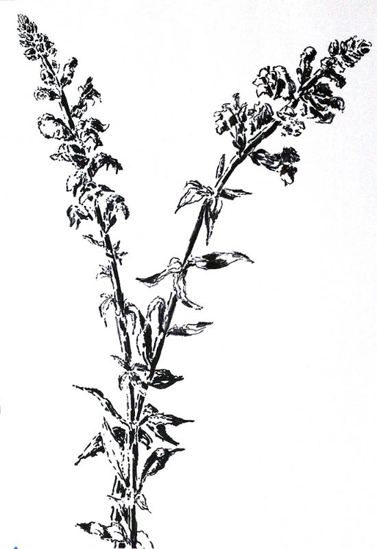 550x800 Drawings Of Flowers On Paper Black And White Flower Drawing