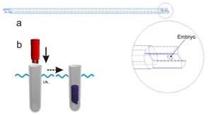 294x163 a a drawing of the rapid i stick the inset shows a detailed view