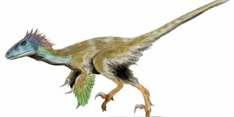 480x240 how 'jurassic world' dinosaurs looked in real life