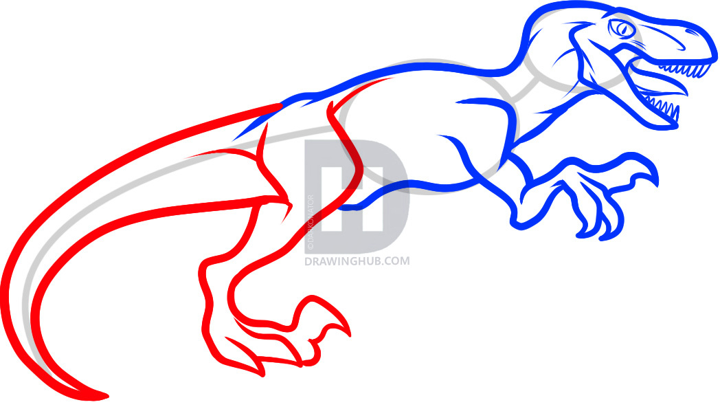1048x611 how to draw a velociraptor dinosaur, step