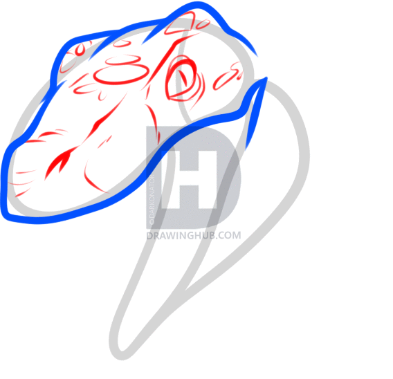 568x548 How To Draw A Raptor Head, Step