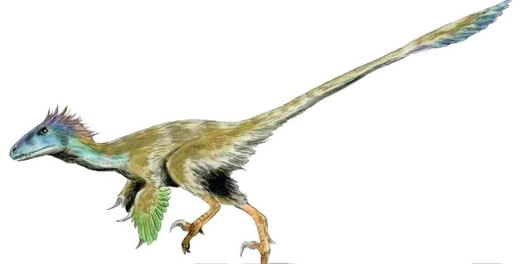 750x375 how to draw a velociraptor from jurassic park park the evolution