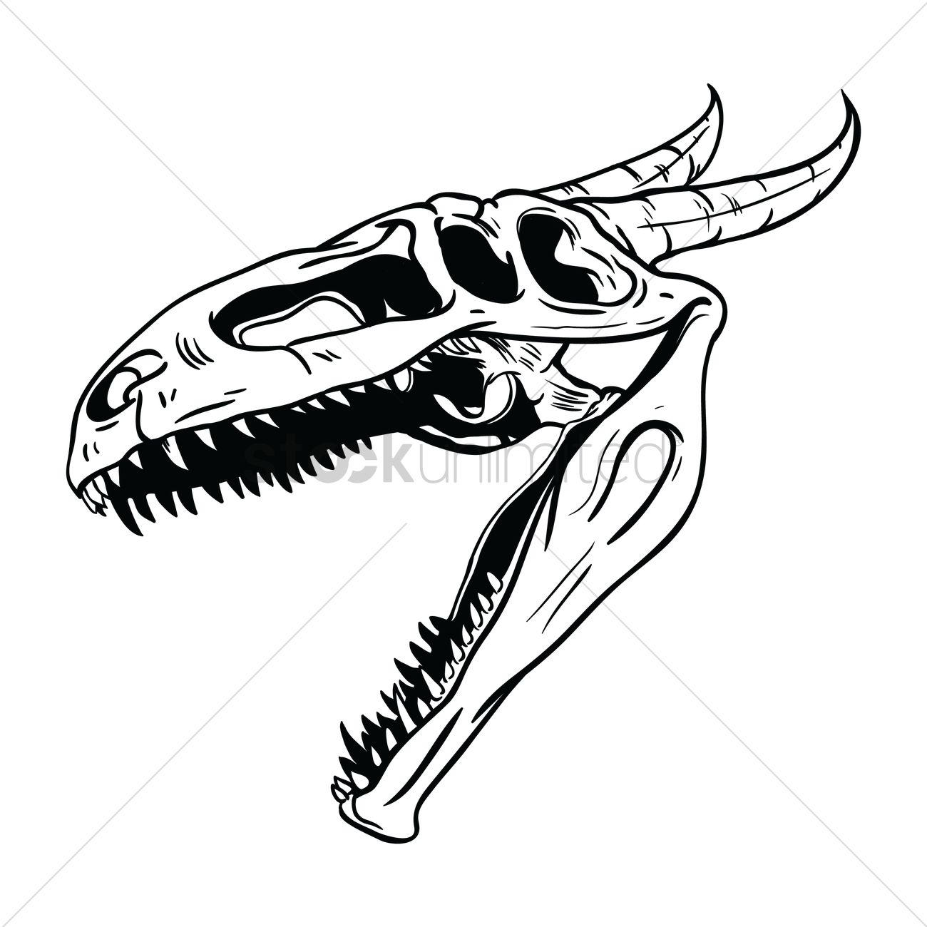 1300x1300 Raptor Drawing Skull For Free Download