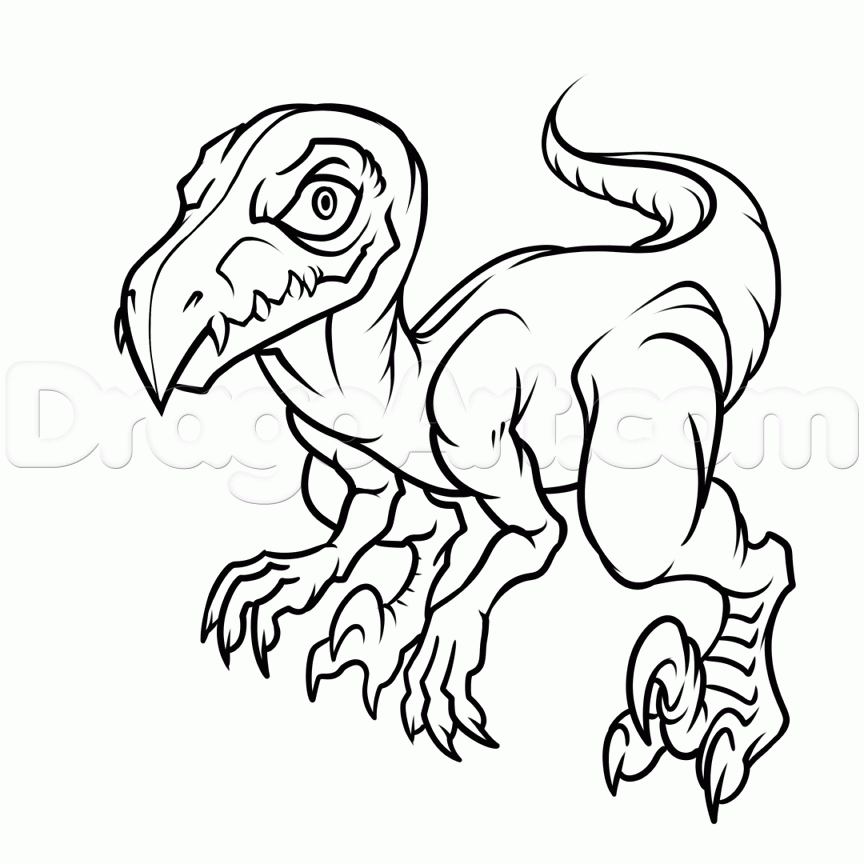 864x864 Step How To Draw A Pet Raptor