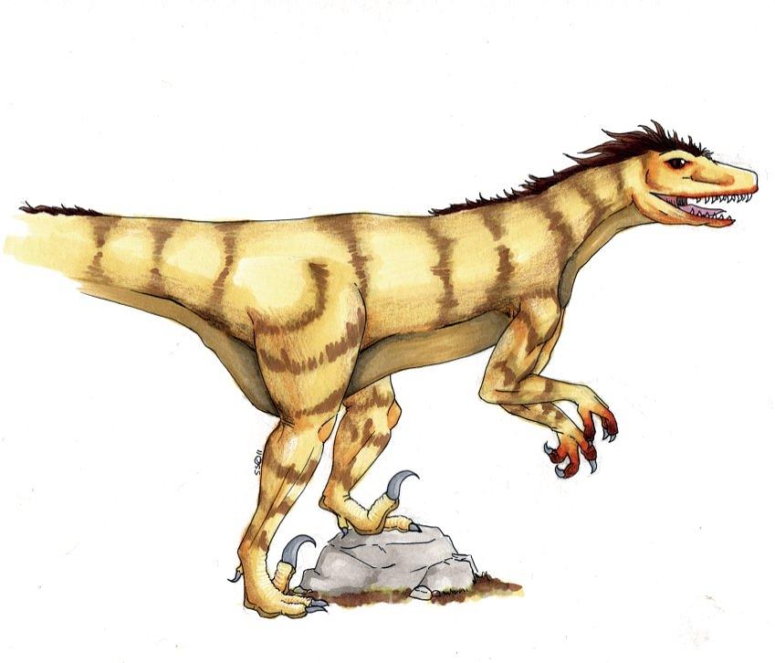 849x726 Utah Ostromaysorrum Drawing