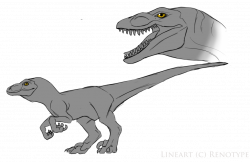 250x162 Wedgie Drawing Raptor, Picture