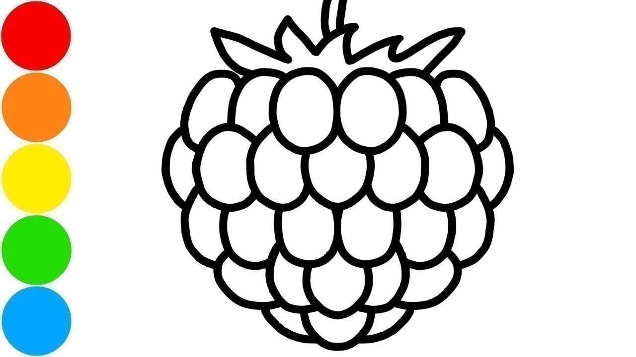 1280x720 Drawing Raspberry For Kids And Coloring Pages For Toddlers Amimi