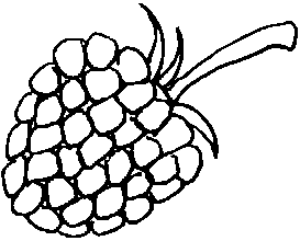 273x220 Free Raspberry Coloring Pages Pictures Color Udin