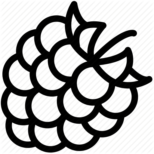 512x512 Fruit, Drawing, Circle, Transparent Png Image Clipart Free Download