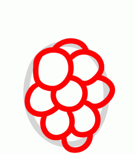 266x302 How To Draw How To Draw A Raspberry