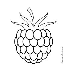 219x231 Image Result For Raspberry Drawing Fruit Coloring Pages