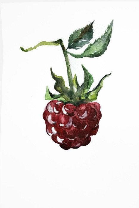 467x700 Raspberry Watercolor Kitchen Decor, Painting Kitchen Wall Art