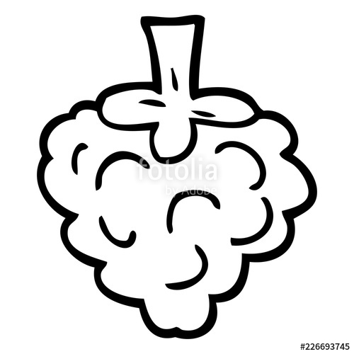 500x500 Line Drawing Cartoon Raspberry Stock Image And Royalty Free