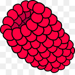 260x260 Black Raspberry Png