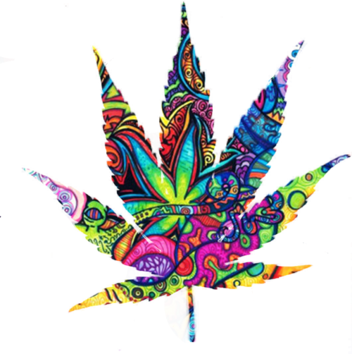 500x502 Weeds Drawing Trippy Transparent Png Clipart Free Download