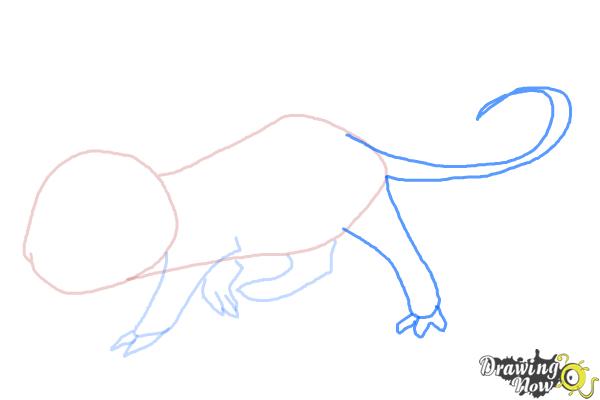 600x400 How To Draw An Anime Rat