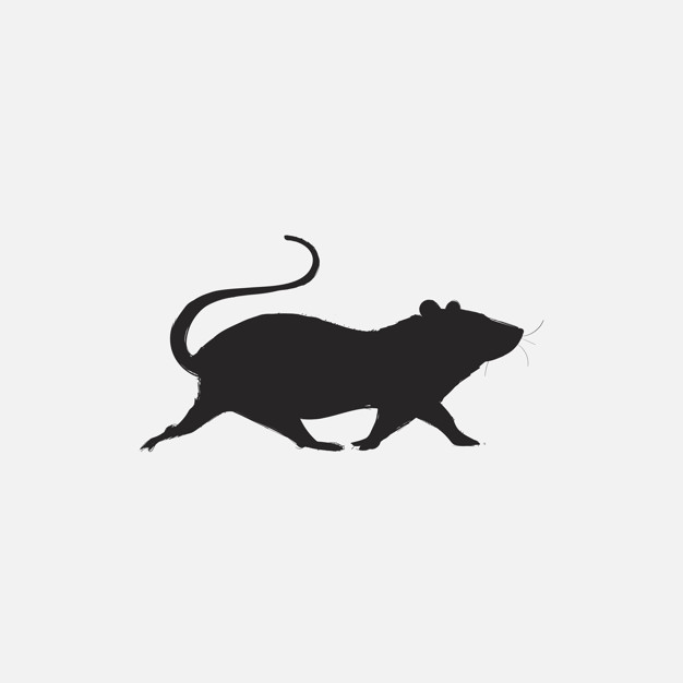 626x626 Illustration Drawing Style Of Rat Vector Premium Download