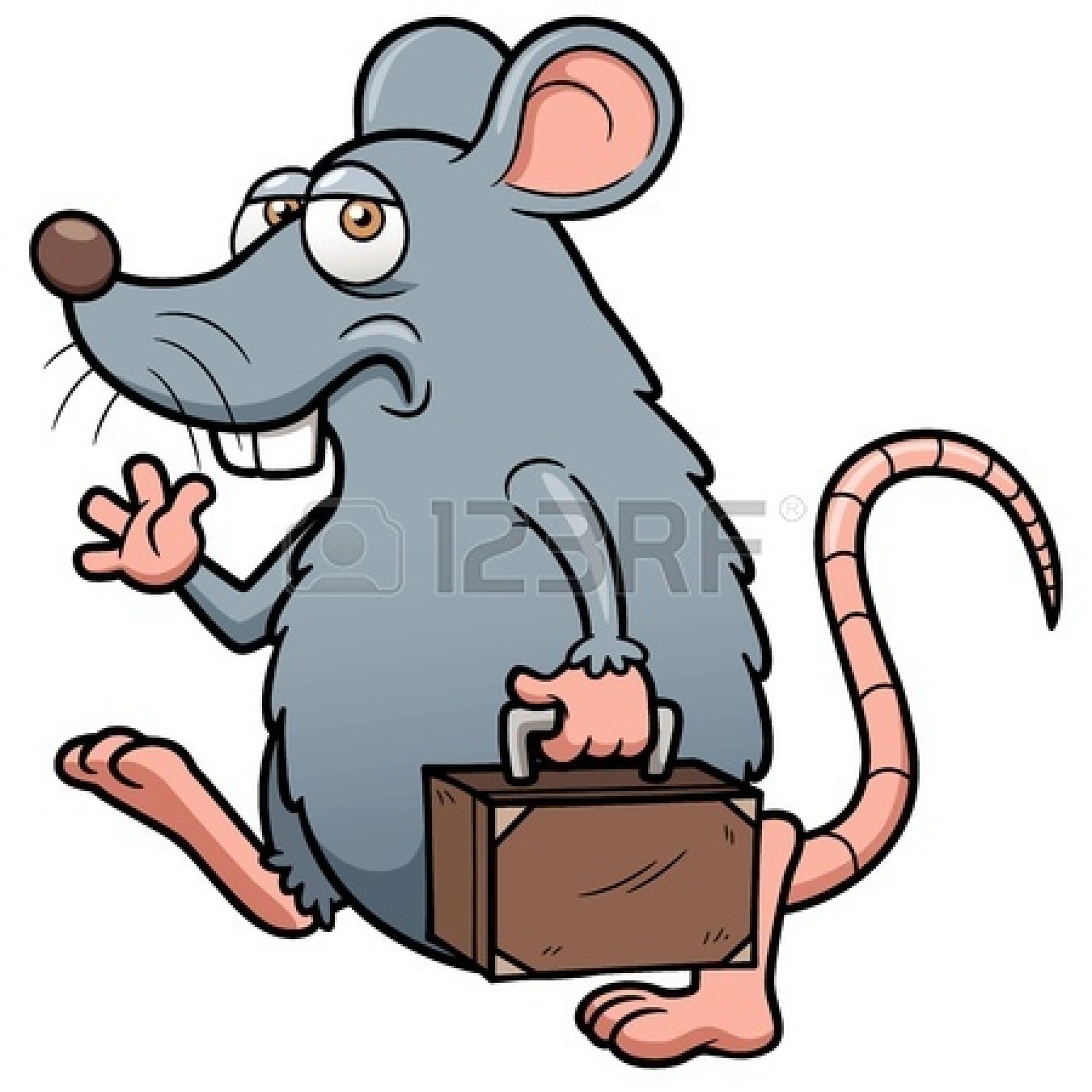 1350x1350 Rat Drawing Illustration
