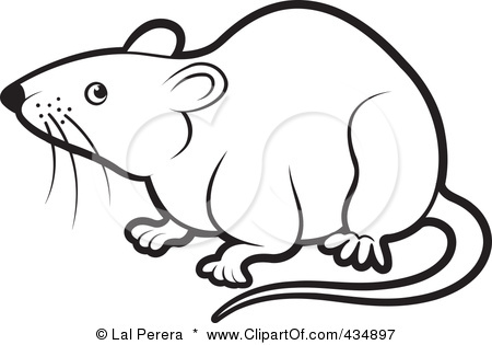 450x315 Collection Of Free Rat Clipart Cute Rat Bean Clipart Coffee