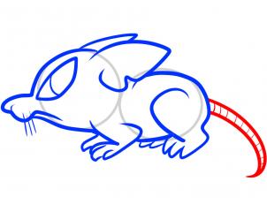 302x231 How To Draw How To Draw A Rat For Kids
