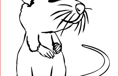 420x270 rat drawing tunnel rat revision lineart cartoons
