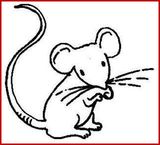 320x290 Rat Drawing Pix For Mouse Drawing For Kids Ink