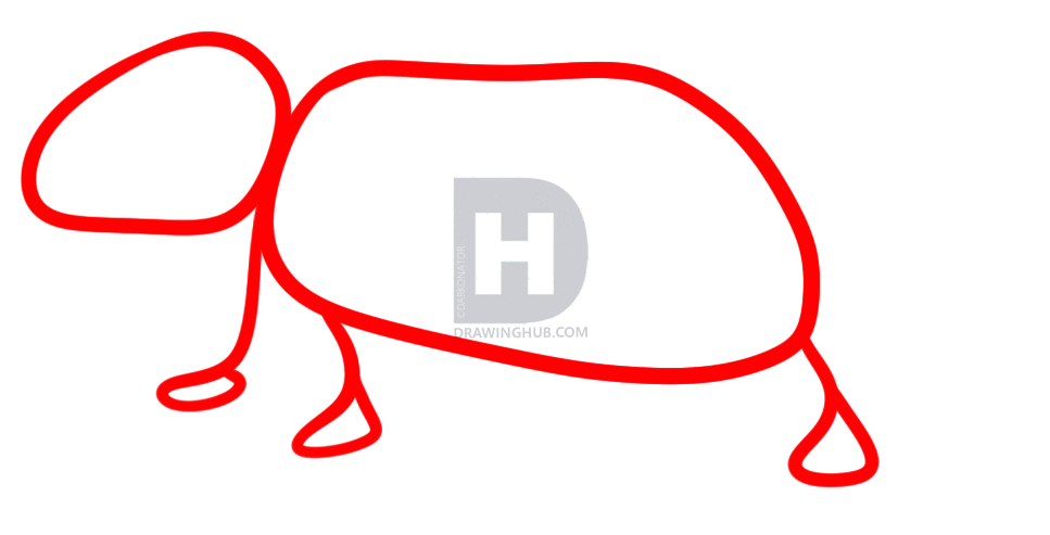 967x493 How To Draw A Rat, Step