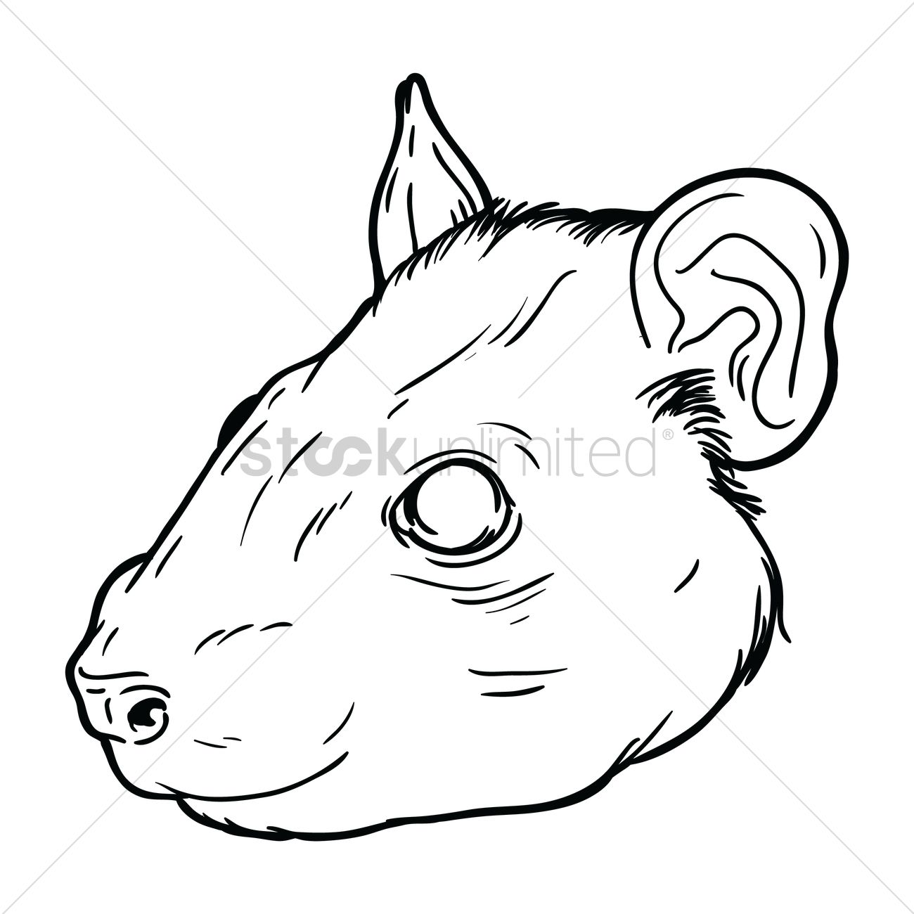 1300x1300 Free Rat Face Vector Image