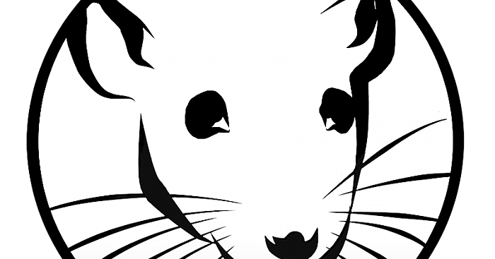 700x367 Polliwog Pages Kids Write Lab Rat