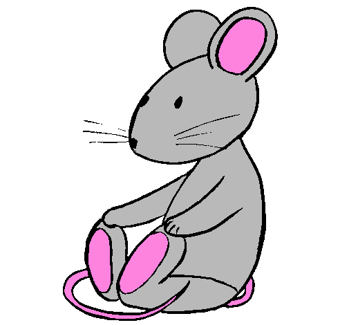 505x470 White, Pink, Face, Transparent Png Image Clipart Free Download