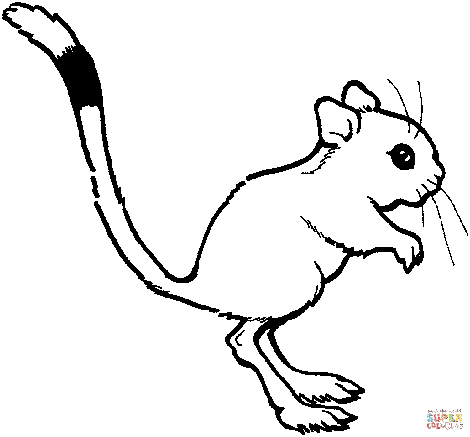 1500x1395 Huge Collection Of 'kangaroo Rat Drawing' Download More Than