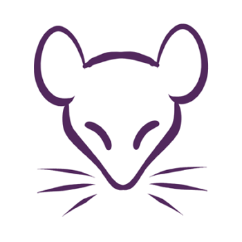 350x350 Huge Collection Of 'rat Face Drawing' Download More Than