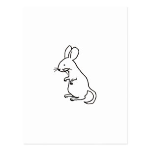 307x307 Line Drawing Postcards Zazzle Uk