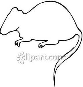 287x300 Rat Clipart Outline