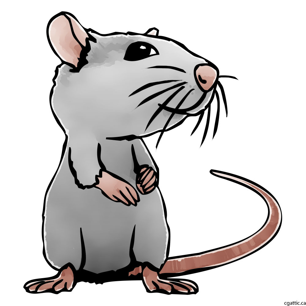 1000x1000 Cartoon Rat Line Drawing