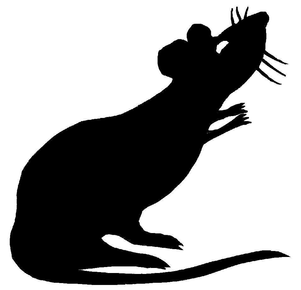 956x922 Clipart Rat Line Art Fun Pics Images