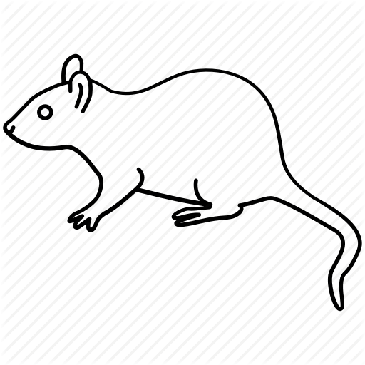 512x512 brown, extermination, invasive, mouse, pest, rat, rodent icon