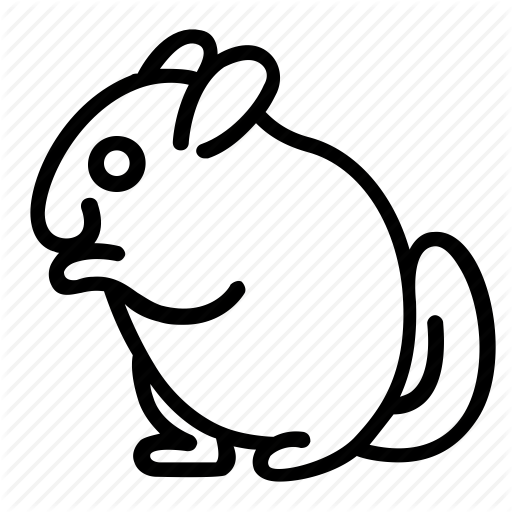 512x512 Collection Of Free Chinchilla Drawing Outline Download On Ui Ex