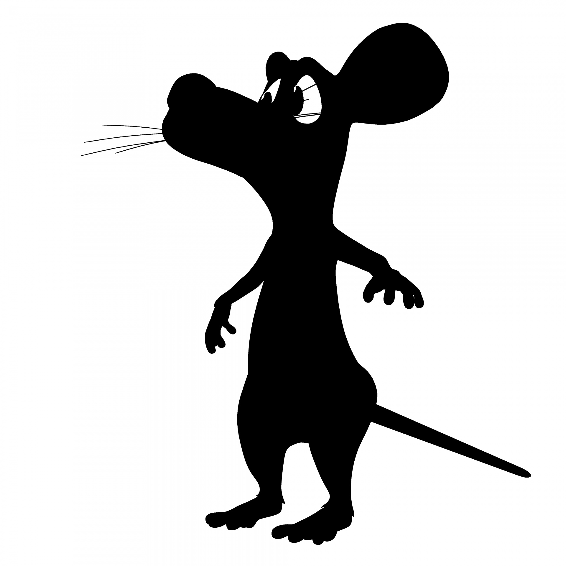 1920x1920 Drawing, Mouse, Cartoon, Funny, Toon