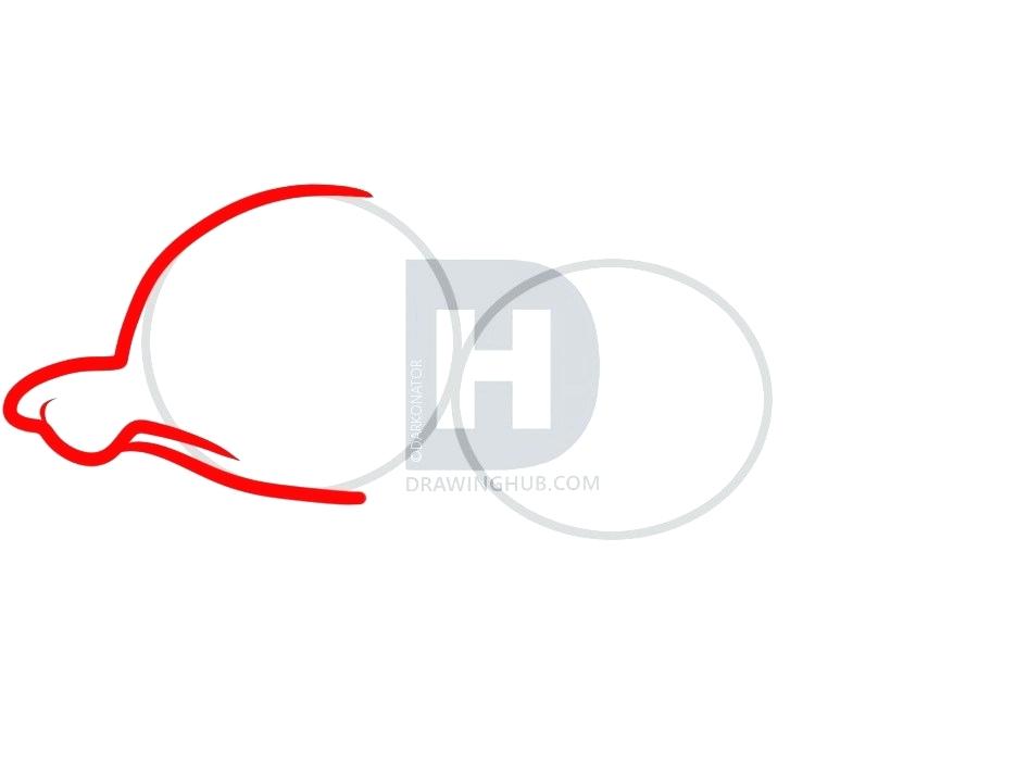 935x715 How To Draw A Rat Step